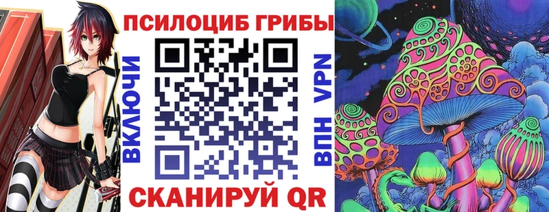 где купить наркотик  Куртамыш  Псилоцибиновые грибы Psilocybe 